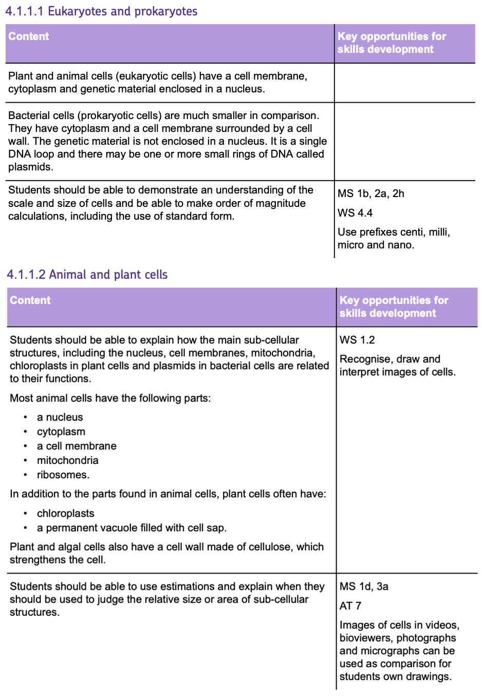 gbatch1-1-1spec